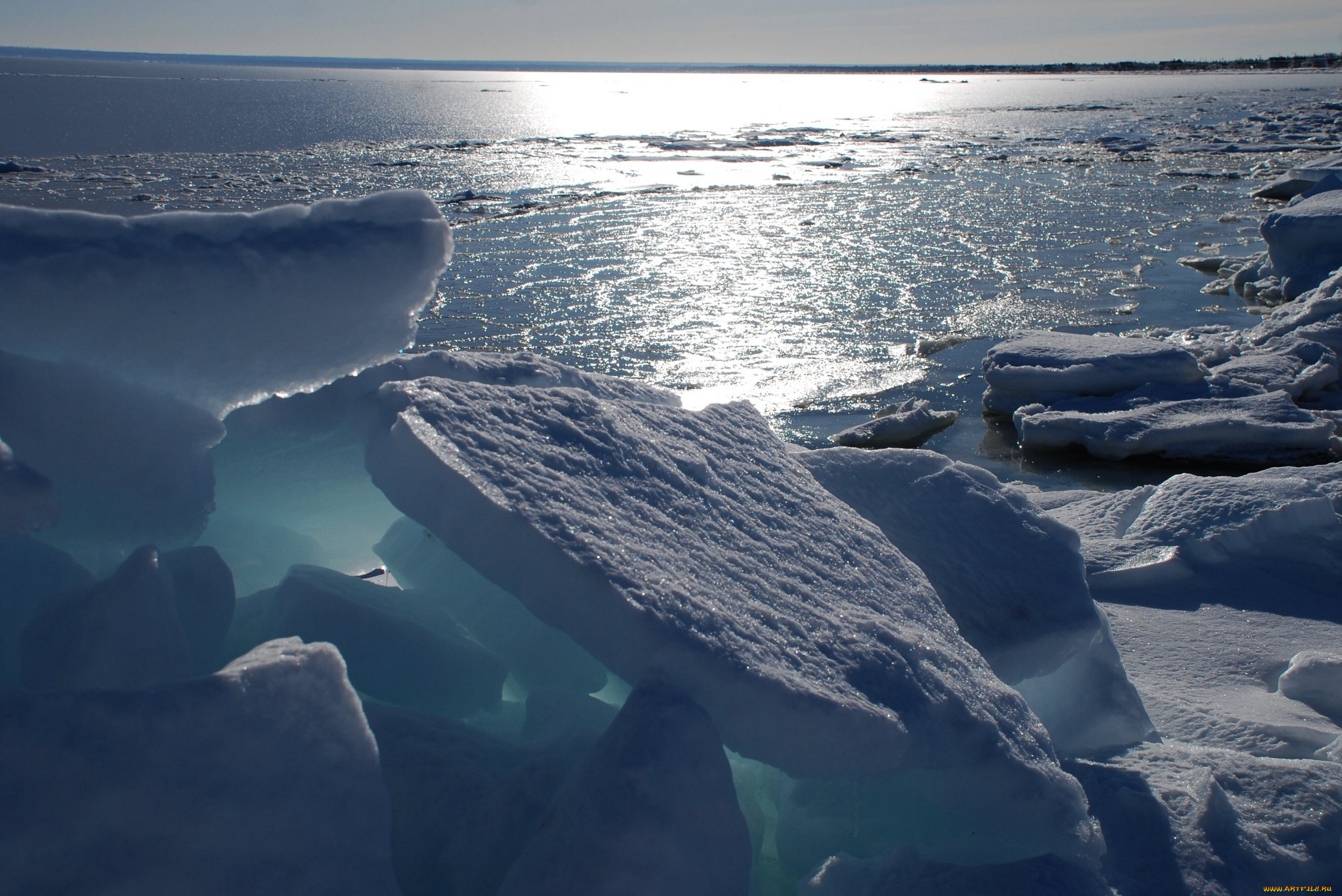 Северный ледовитый океан хаос торосов долгая. Северный Ледовитый океан паковый лед. Море Уэдделла. Торосы Карское море. Белое море Северный Ледовитый океан.